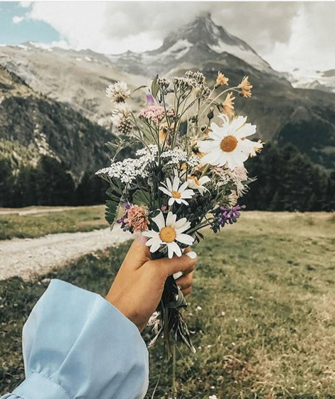 Screen Shot 2017-10-05 at 10.51.03 am.png